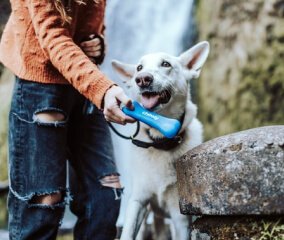 covid 19 contagion img card 1